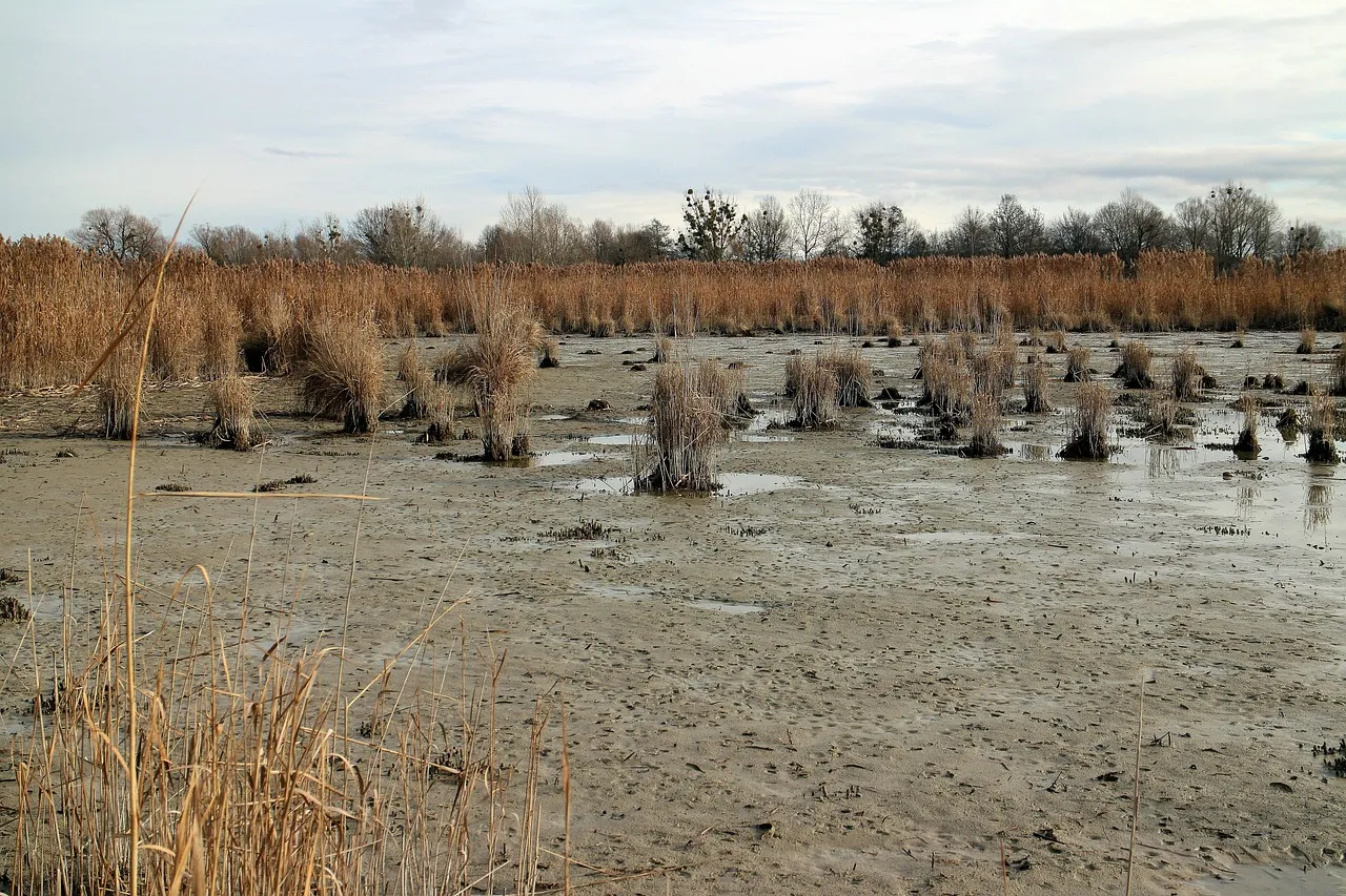 Climate change is continuously on the rise and extreme weather events like heavy rainfall are becoming more frequent, leading to problems such as floods, landslides, and soil erosion.